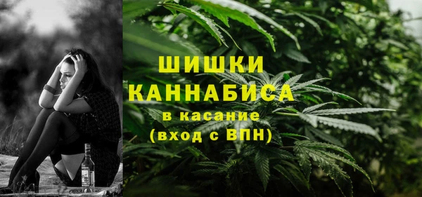 2c-b Снежногорск