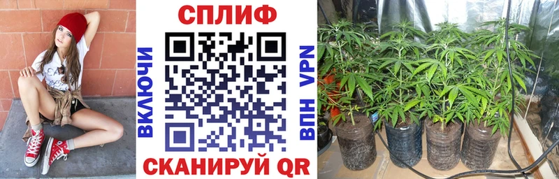 Бошки Шишки конопля  Володарск 